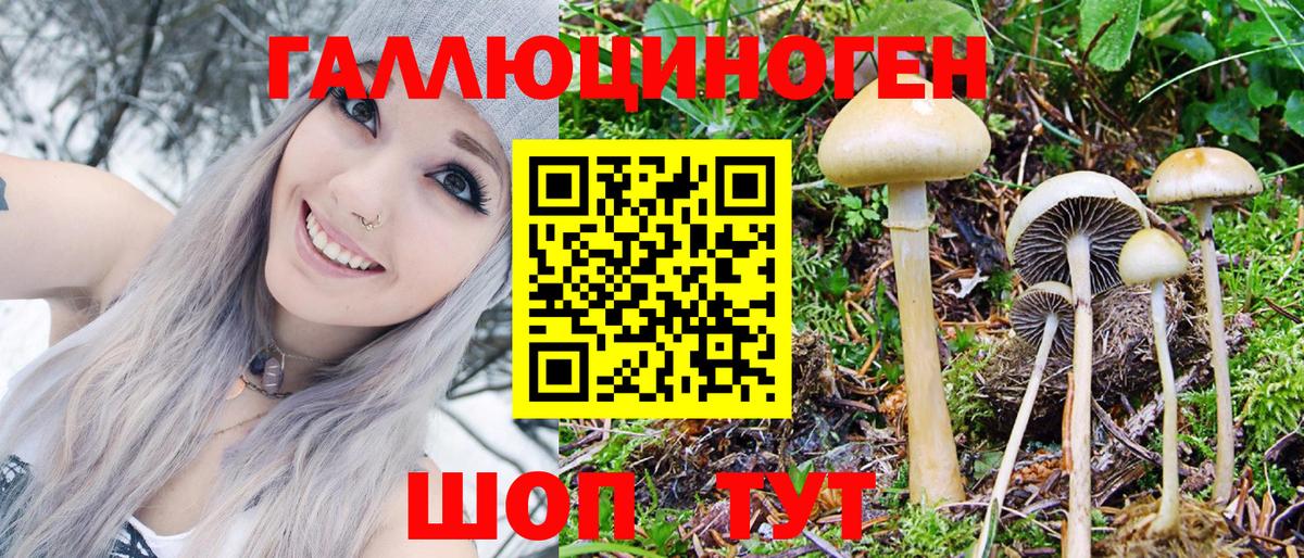 Советск  Псилоцибиновые грибы GOLDEN TEACHER  Вход с VPN 